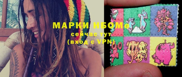 спайс Баксан