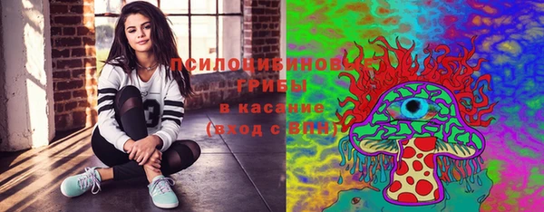 спайс Баксан